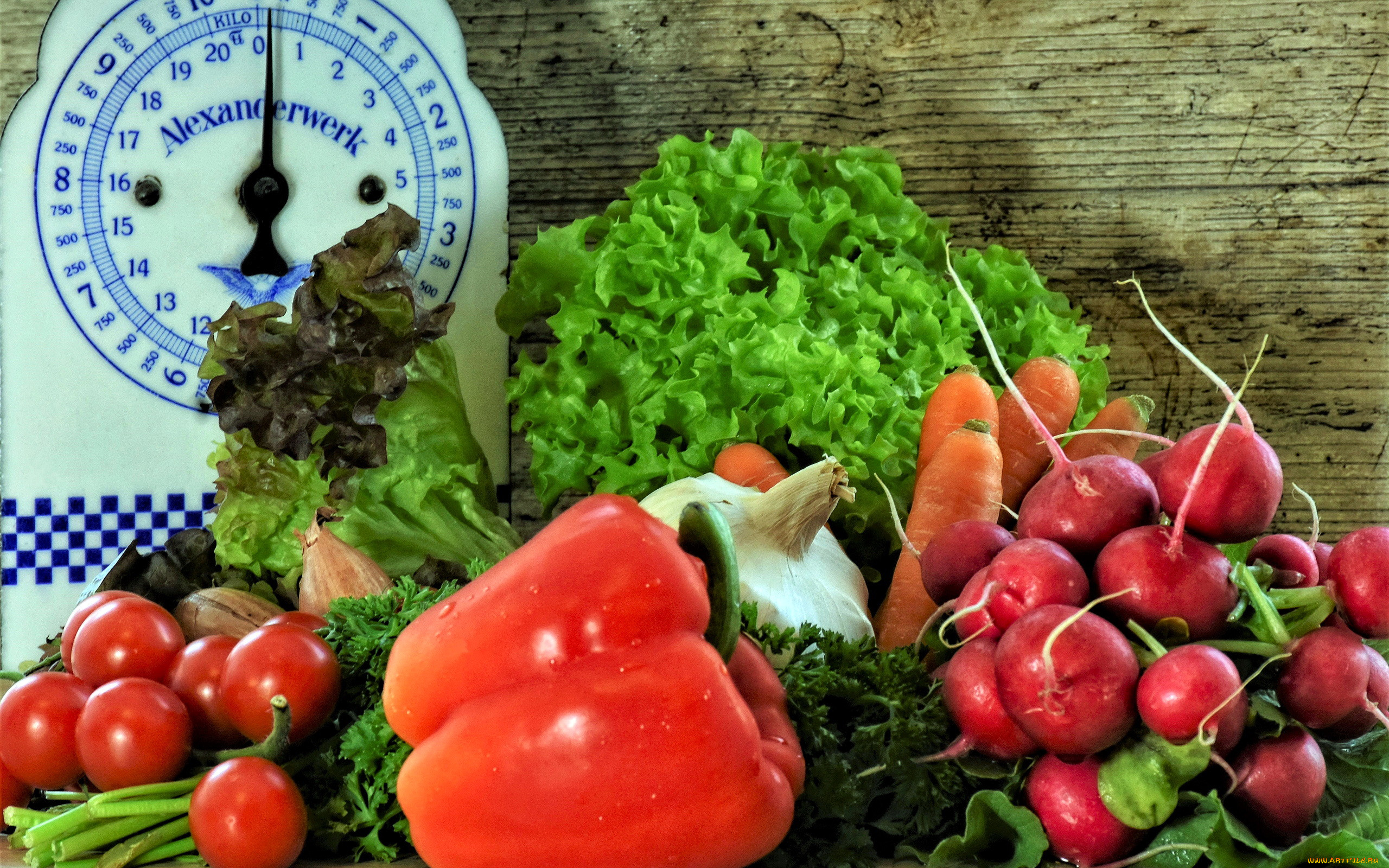 ���, �����, ����, �����, ��������, �����, �����, �������, ������